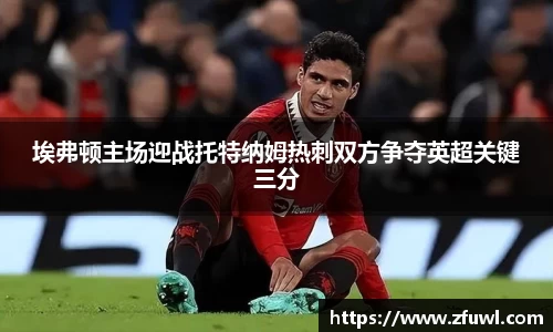 埃弗顿主场迎战托特纳姆热刺双方争夺英超关键三分