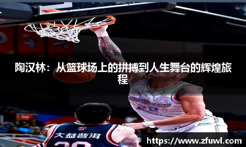 陶汉林：从篮球场上的拼搏到人生舞台的辉煌旅程